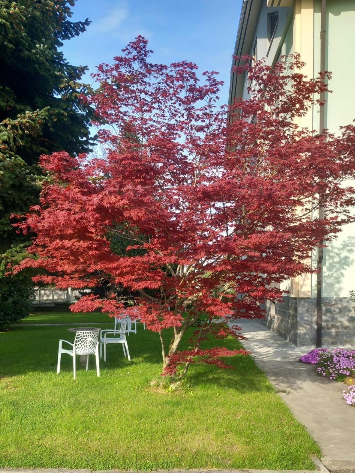 B&B Il Castagno Roccavione Экстерьер фото