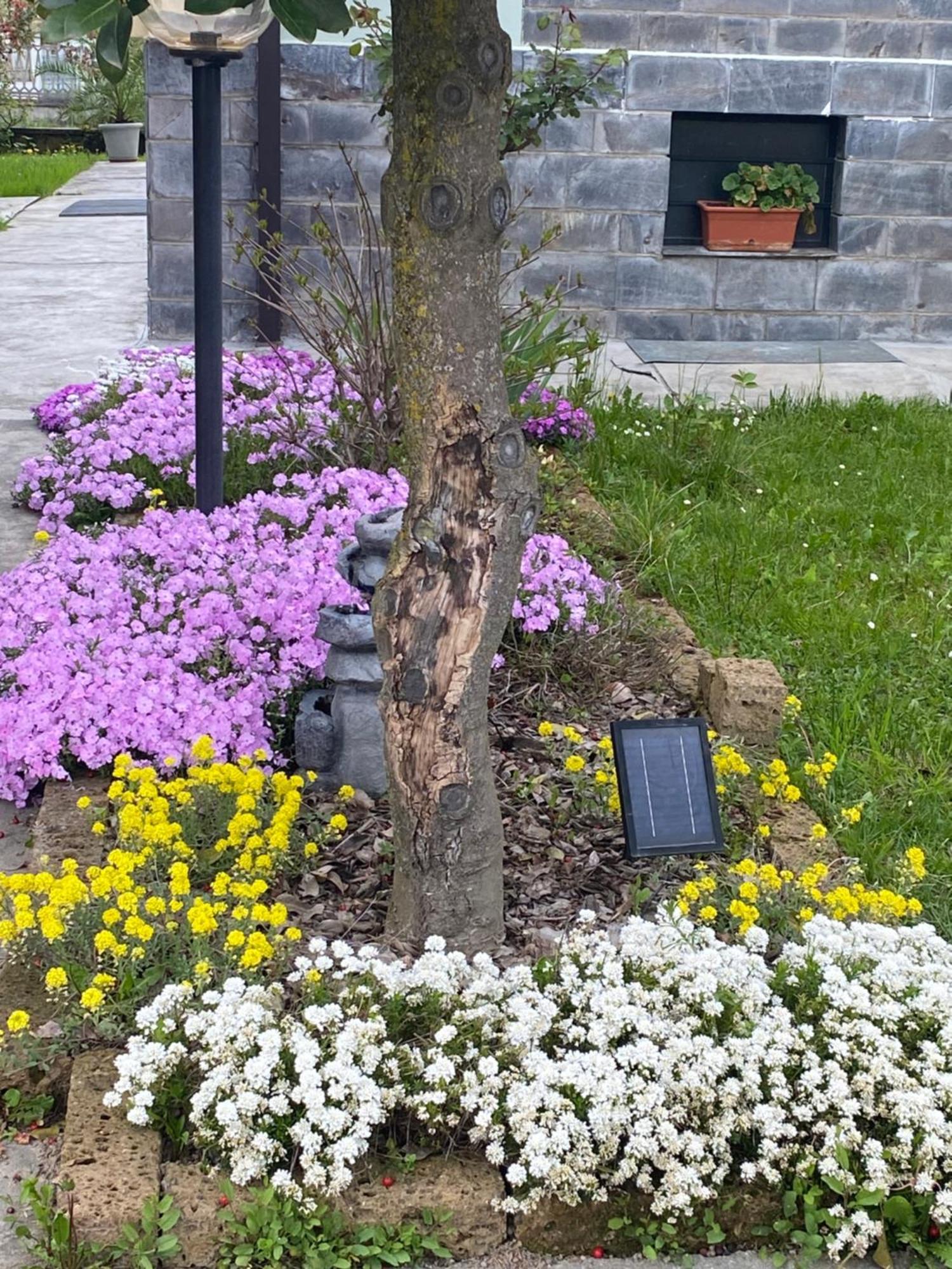 B&B Il Castagno Roccavione Экстерьер фото